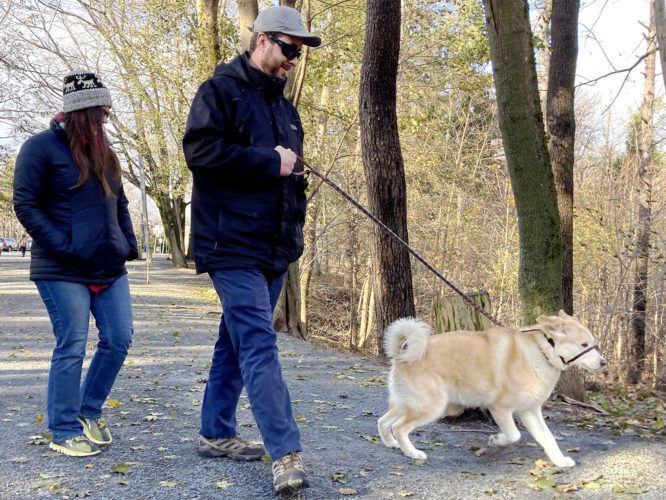Terri Clarke and Peter Reilly walk their dog Jack at Point Pleasant Park