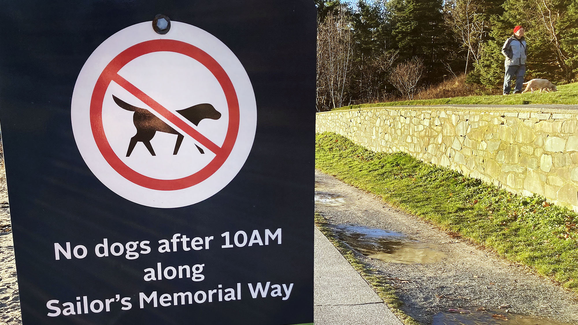 Sign explaining one of the dog bylaws at Point Pleasant Park's Sailors Meorial Way