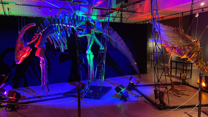 Dinosaurs come to life with pulleys and levers at Halifax's Discovery Centre.