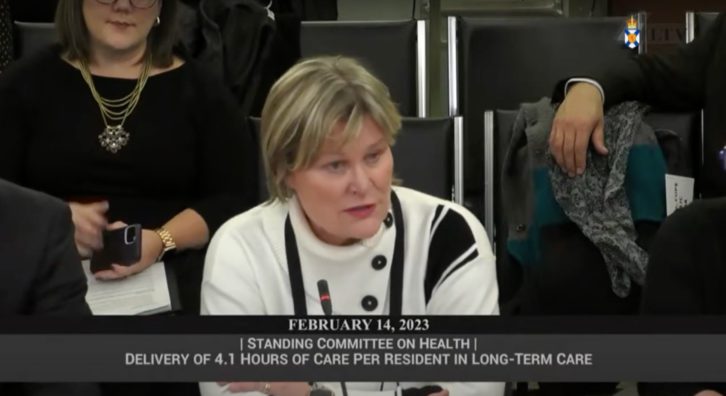 Nova Scotia Nurses’ Union president Janet Hazelton speaks at the legislature's health committee on Feb. 14.