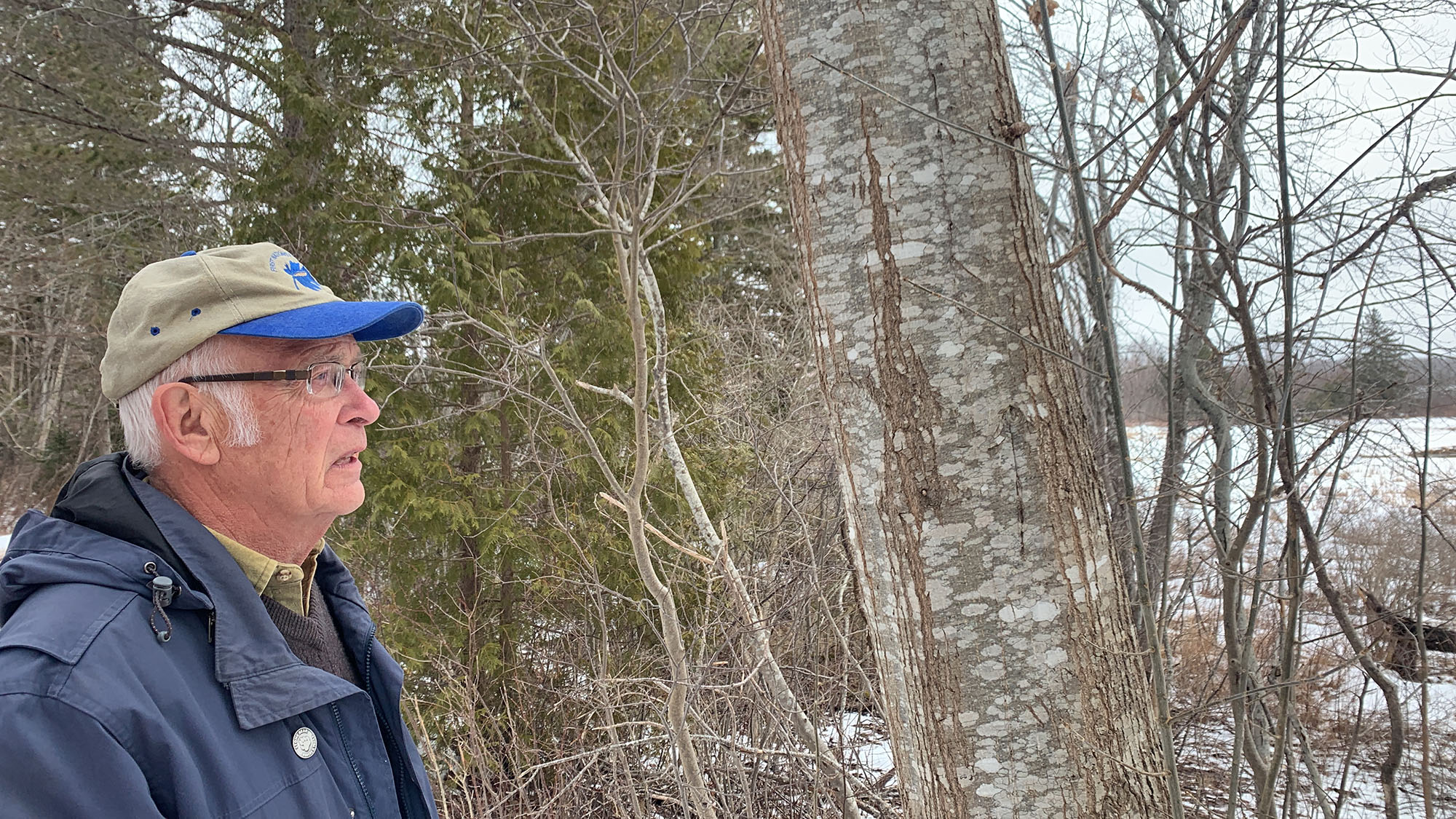 Former provincial biologist turned activist Bob Bancroft explains what kind of environment the mainland moose need to survive in Nova Scotia.