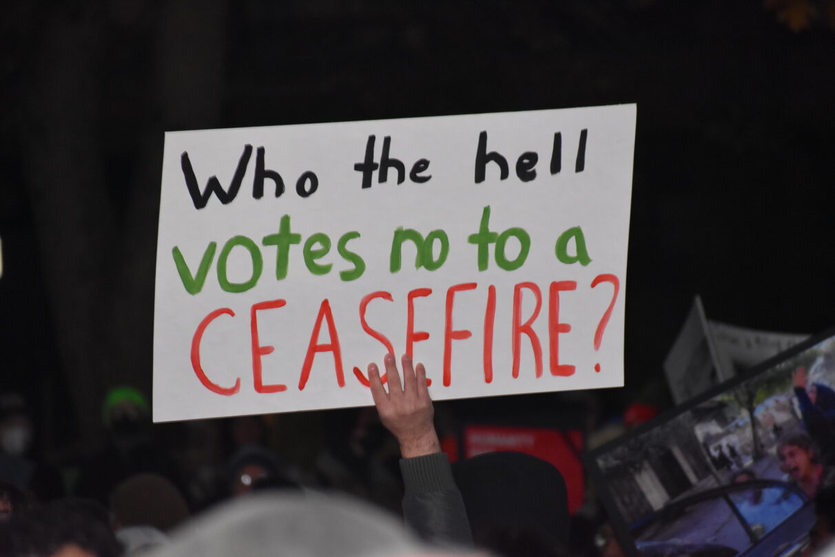 A white sign reading "Who the hell votes no to a CEASEFIRE" in black, green and red.