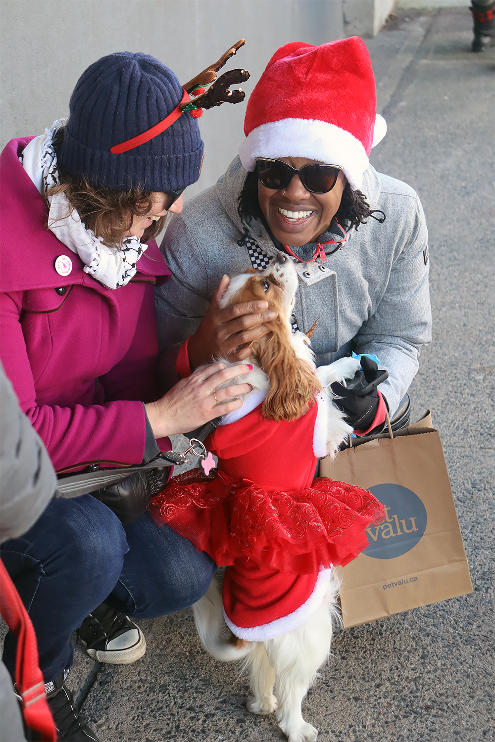 Two women bundled up in their coats and Christmas themed hats pet a dog dressed in a red tutu