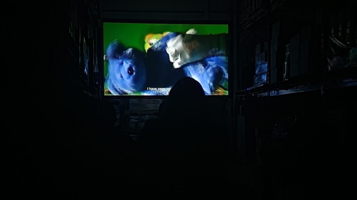 A blue stuffed bear is projected onto a screen in the centre of a dark room.
