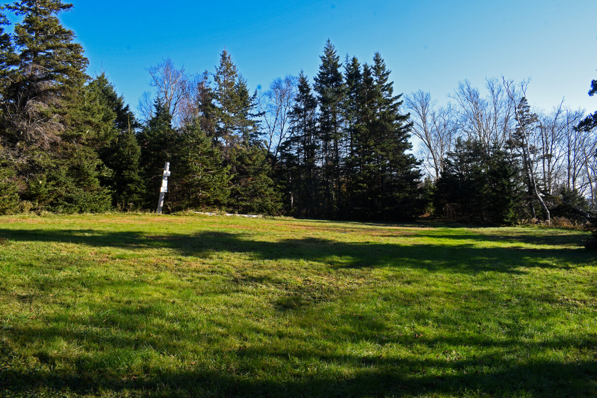 A small lawn used for camping surrounded by trees.