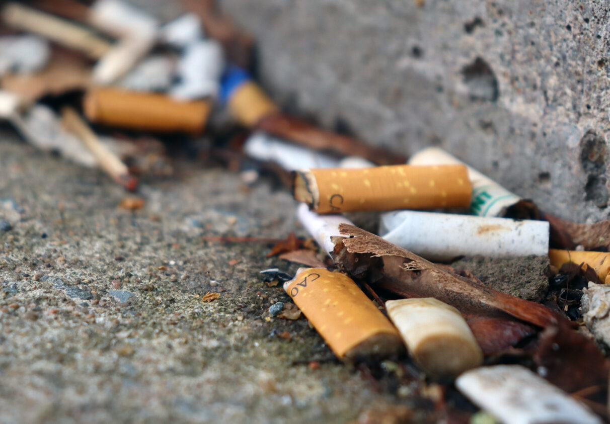 Close up picture of brown and white cigarettes mixed in with dead leaves on the pavement.