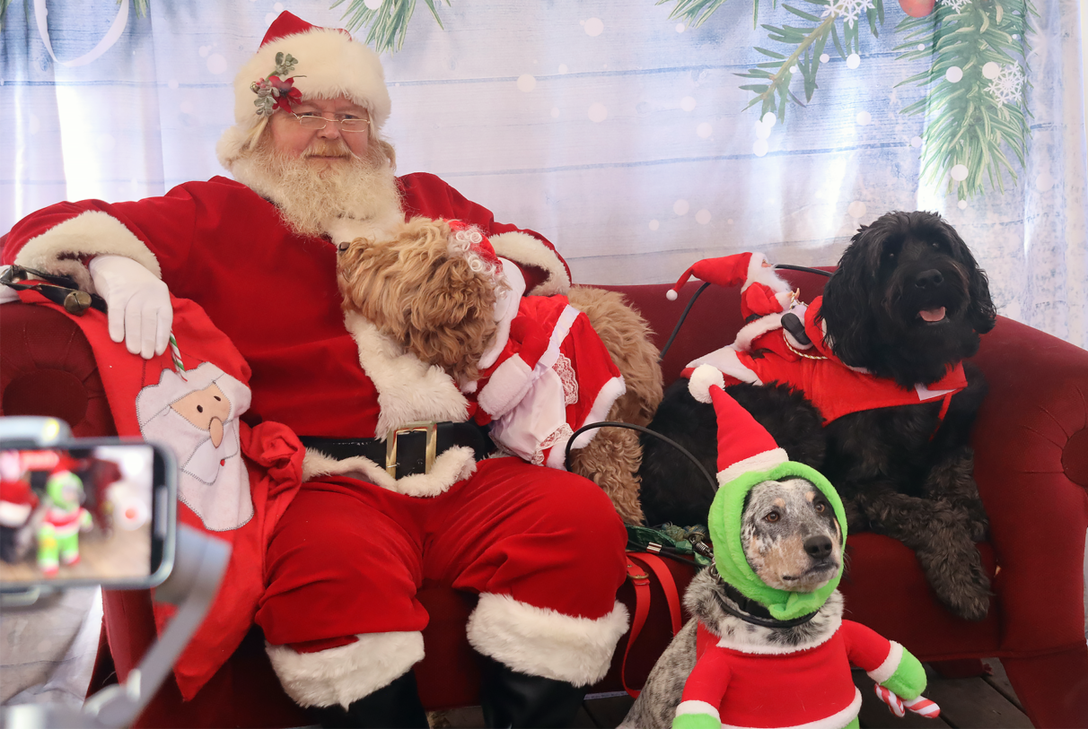 Santa sits on a red couch surrounded by three dogs dressed up in Christmas costumes.