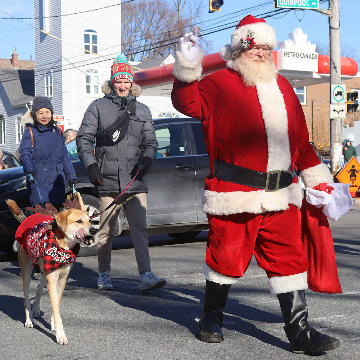 Santa crosses the street holding candy canes in his hand as he waves. A man and woman walk behind Santa. The man walks his dog who wears a red coat and bandana with reindeer antlers.