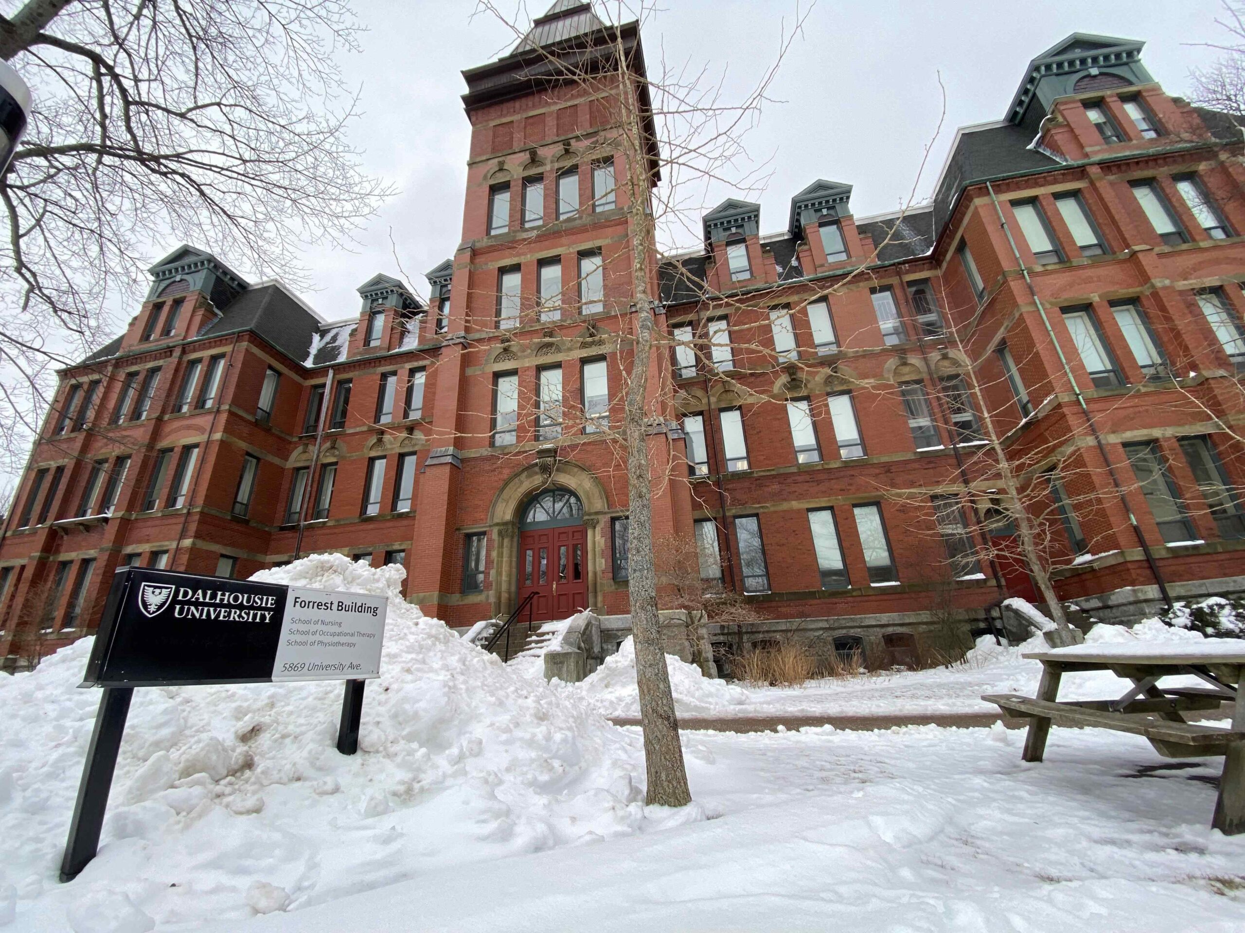Dalhousie's nursing school is opening 22 spots for a new masters program in mental health and addictions.
