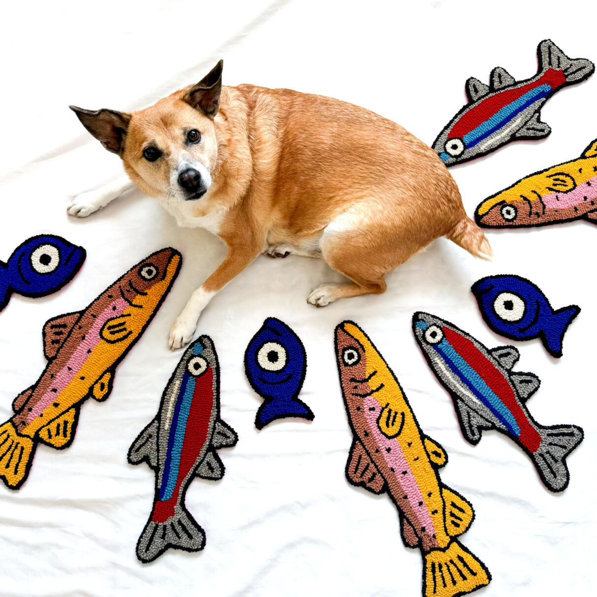 A dog sits on a white background. Multi-coloured fish rugs surround it.