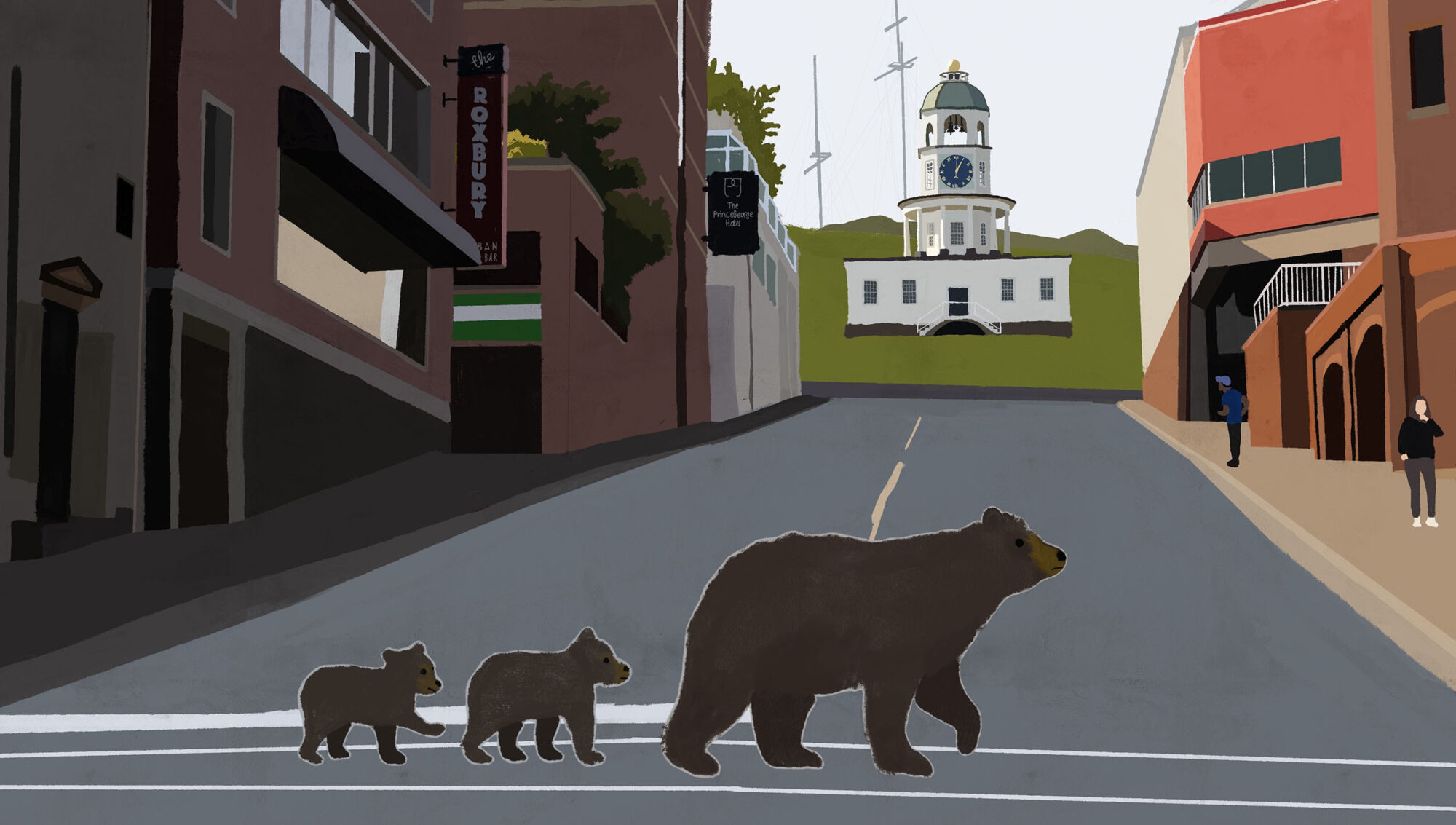 A black bear and her cubs walk through downtown Halifax.