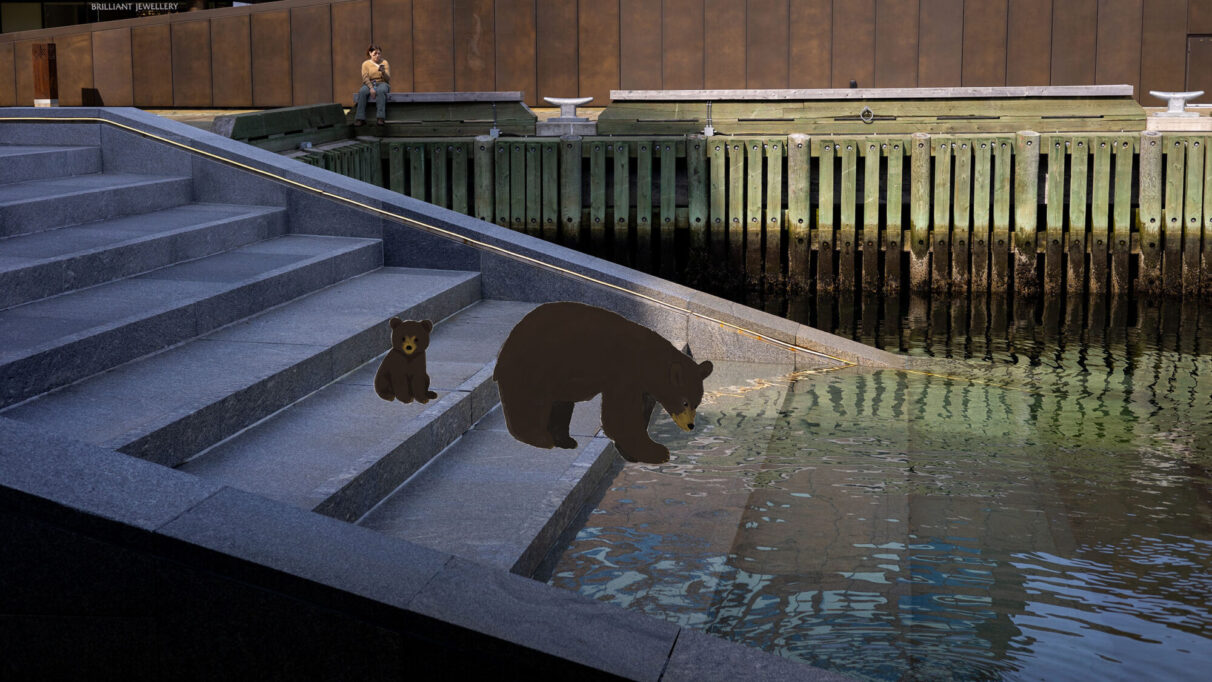 An illustration of a mama and her cub visit the Halifax Waterfront steps.