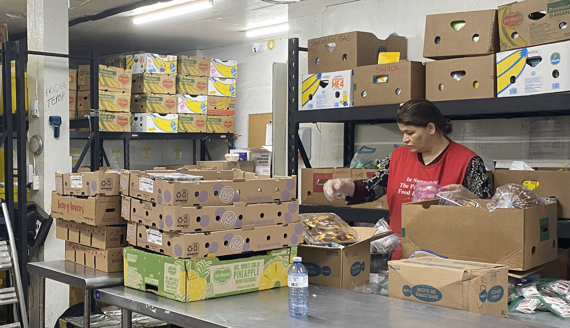 Food bank volunteer in red shirt sorting food donations into cardboard boxes