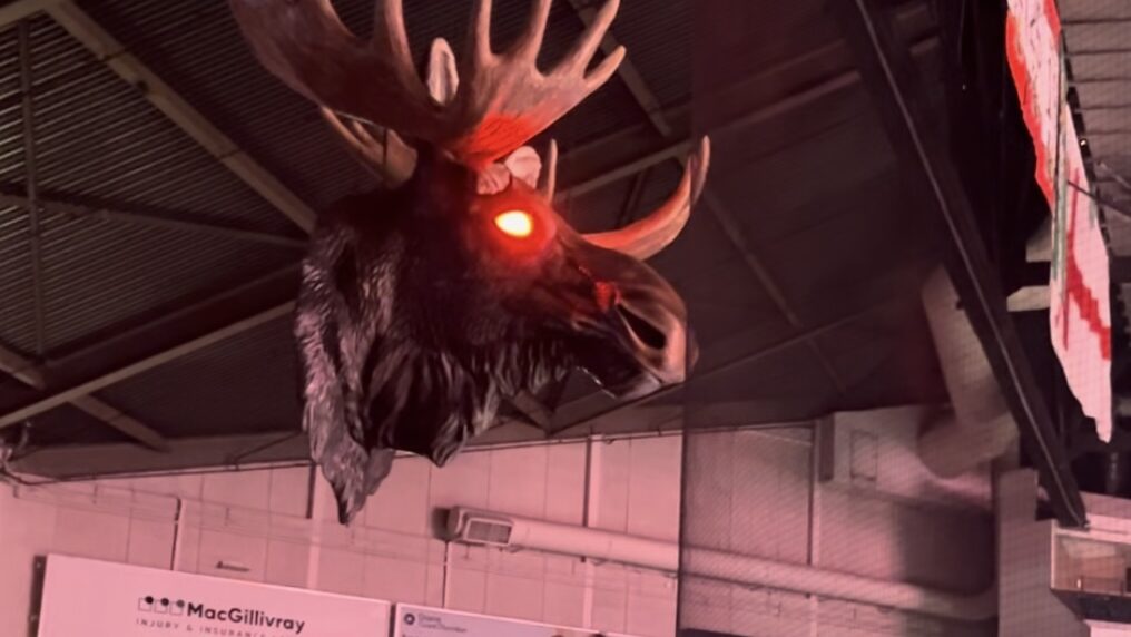 Large moose head with glowing red eyes hanging in a hockey rink