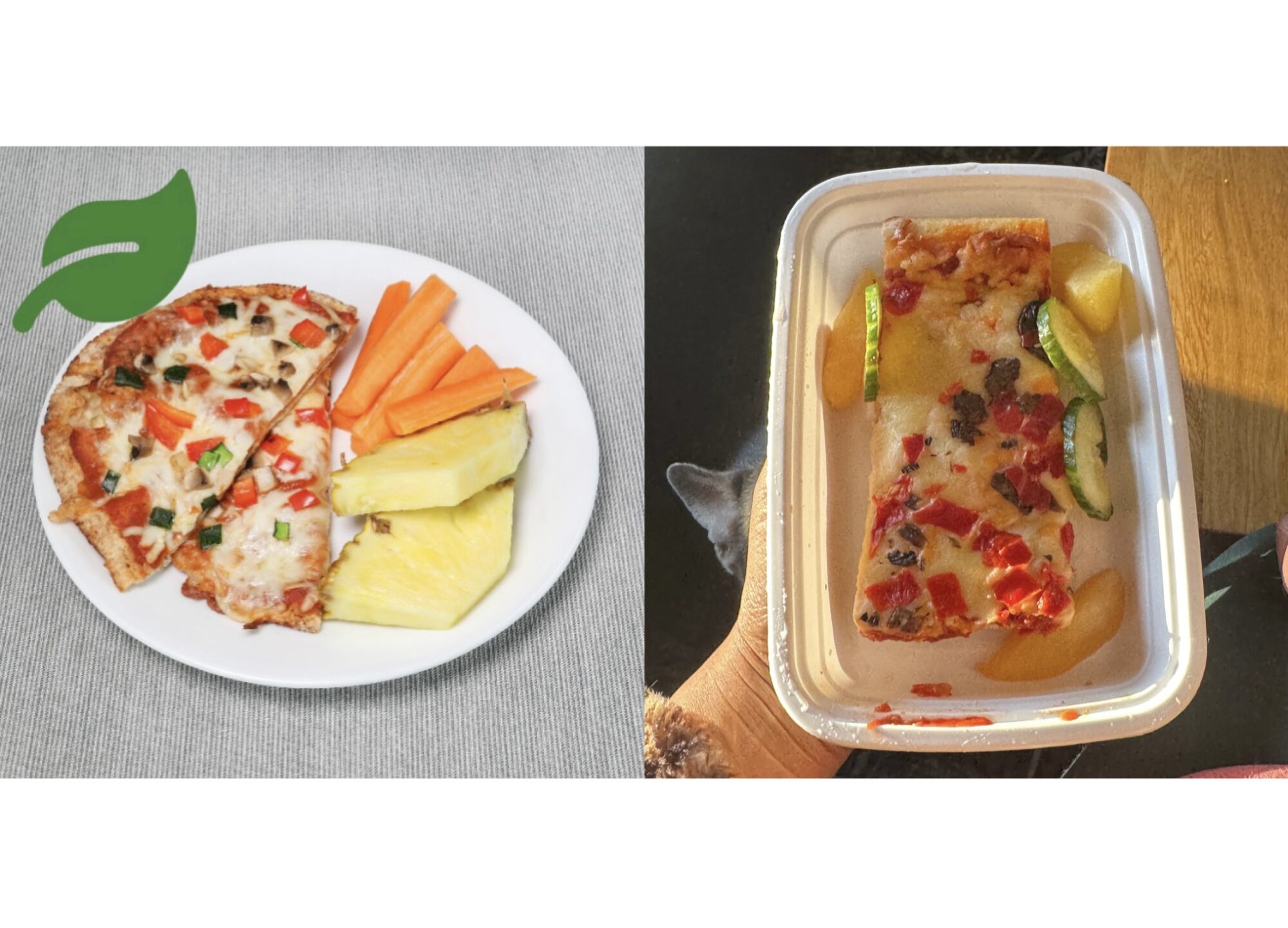 Two photos of the same pizza school lunch meal side by side, in person photo looks different from website image