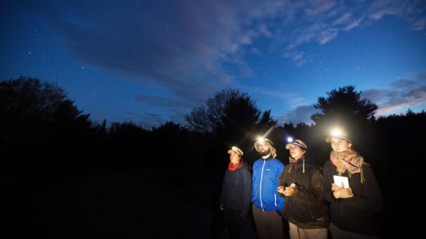 Four students stand with headlamps ready to look for bats at night in southwestern Nova Scotia