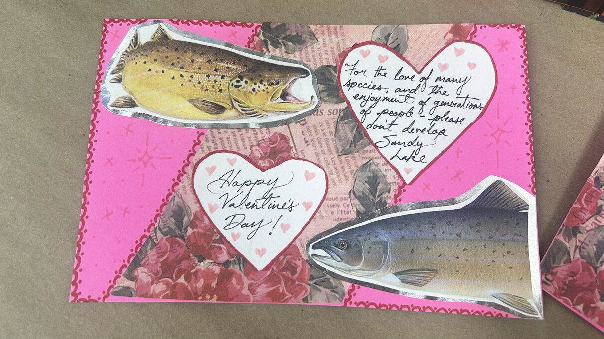 "For the love of many species," is written on a card at the Ecology Action Centre's craftivism night on Feb. 11 in Halifax.