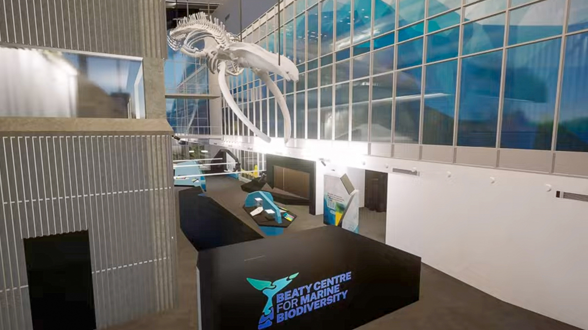 A virtual image showing a big room with tall windows with a black sign reading "Beaty centre for marine biodiversity." A large whale skeleton hangs from the roof.