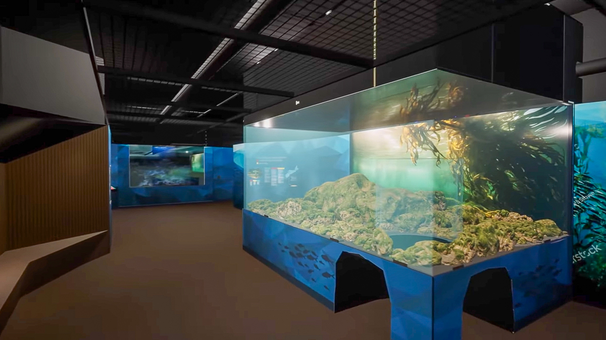 a virtual image of a room in an aquarium featuring a large tank with rock and moss lining the bottom and green seaweed on the walls.