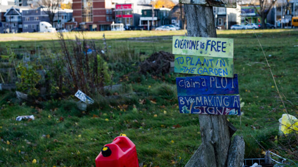 A sign in front of a garden bed reading "Everyone is free to plant in the garden claim a plot by making a sign."