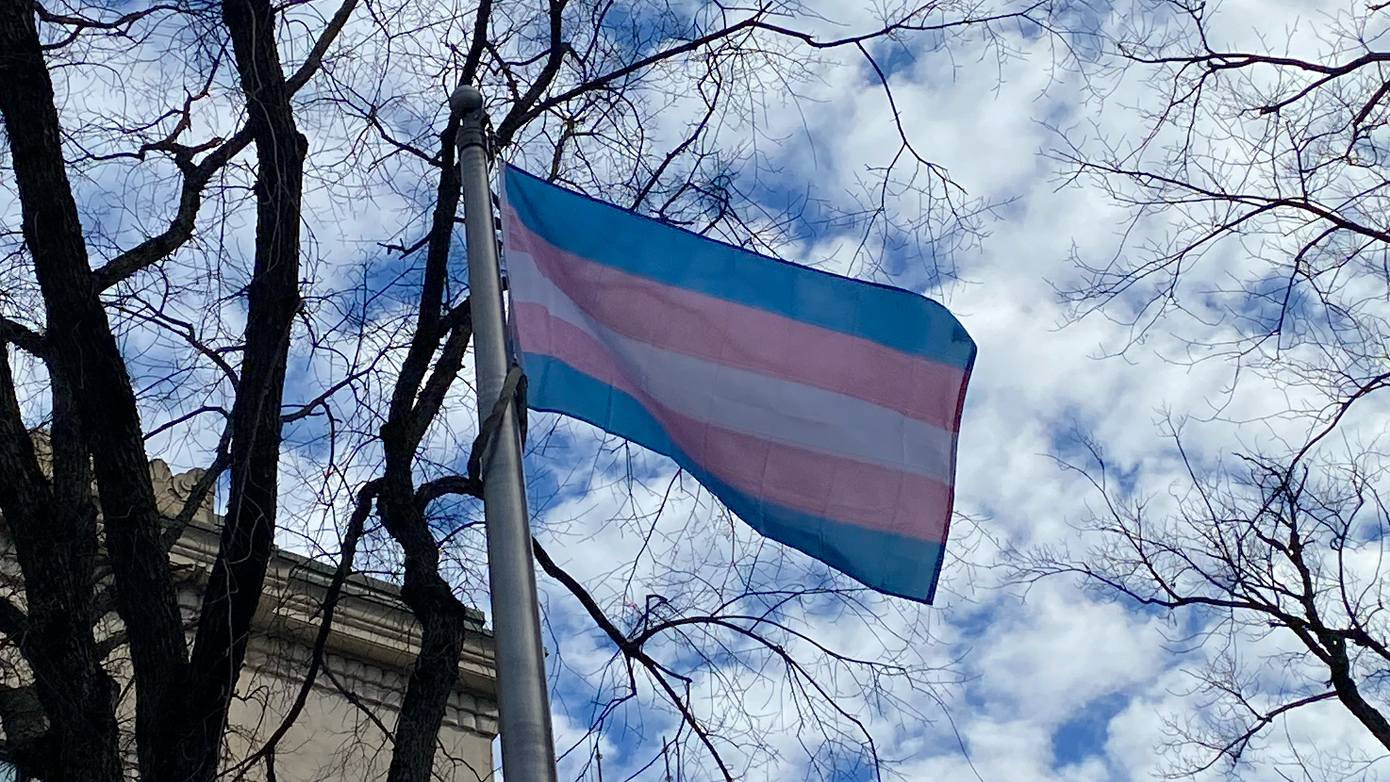 A pink, blue and whtie trans flag blows in the wind, with trees and a building in the background
