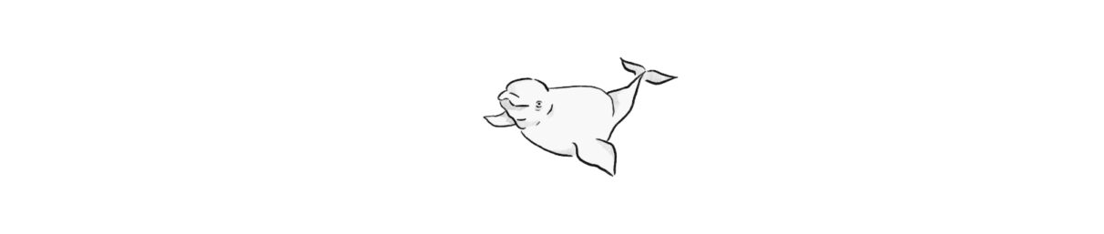 Illustration of a beluga whale.