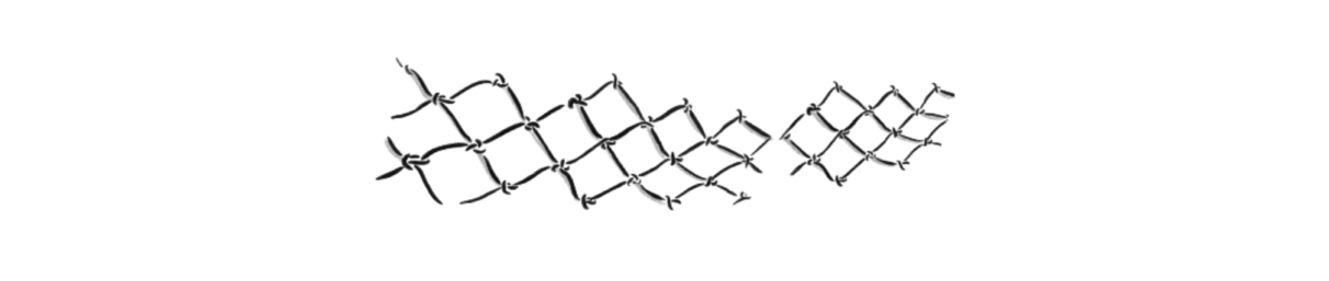 Illustration of a net