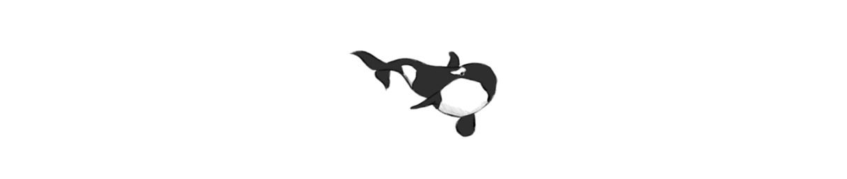 Illustration of an orca