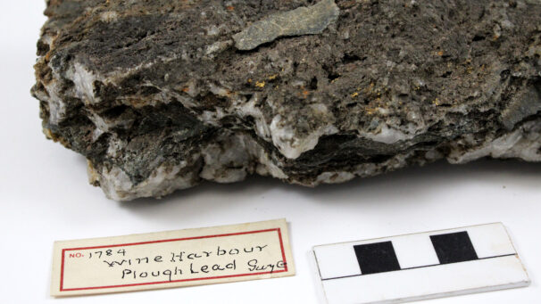 Wine Harbour gold in a quartz rock.