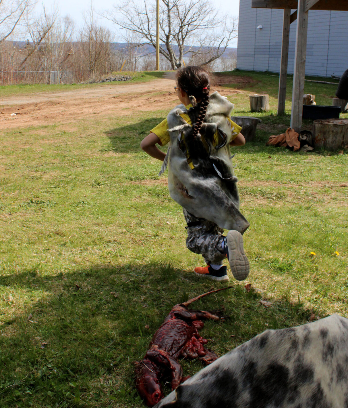 Joef Ji’j Bernard runs around a freshly skinned otter carcass outside the L’nui’sultinej conference in Eskissoqnik, May 2026.
